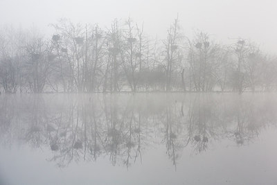 BUITEN BEELD Foto: 228140