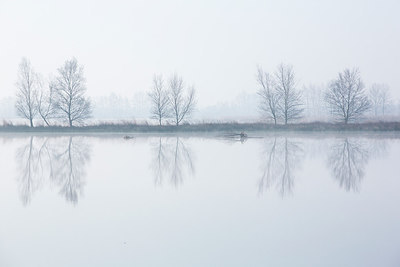 BUITEN BEELD Foto: 228145