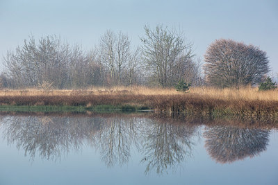 BUITEN BEELD Foto: 228146