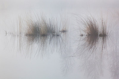 BUITEN BEELD Foto: 228159