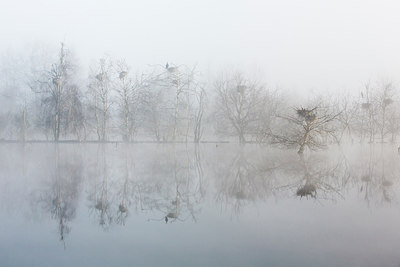 BUITEN BEELD Foto: 228165