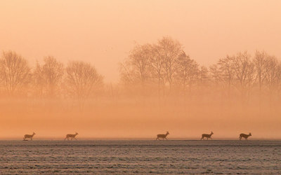 BUITEN BEELD Foto: 228202