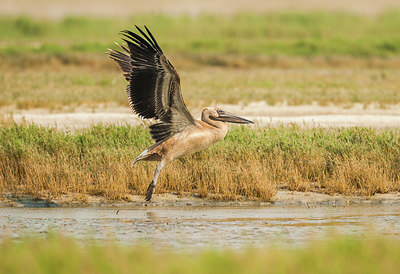 BUITEN BEELD Foto: 228215