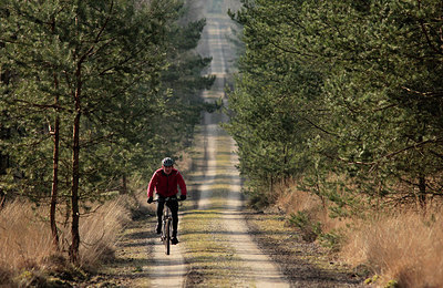 BUITEN BEELD Foto: 228252