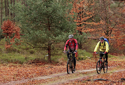 BUITEN BEELD Foto: 228258