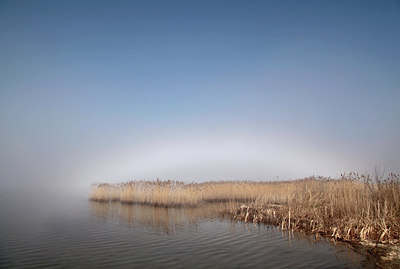 BUITEN BEELD Foto: 228289