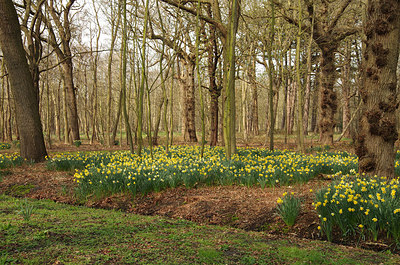 BUITEN BEELD Foto: 228364