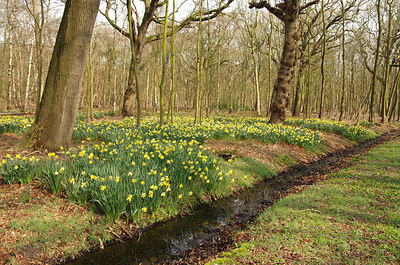 BUITEN BEELD Foto: 228365