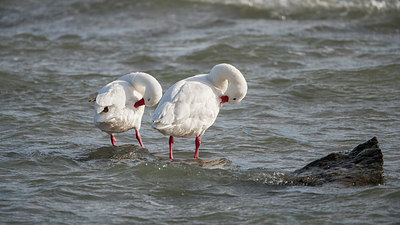 BUITEN BEELD Foto: 228393