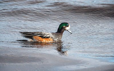 BUITEN BEELD Foto: 228396
