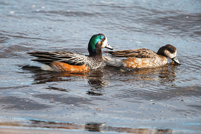 BUITEN BEELD Foto: 228397