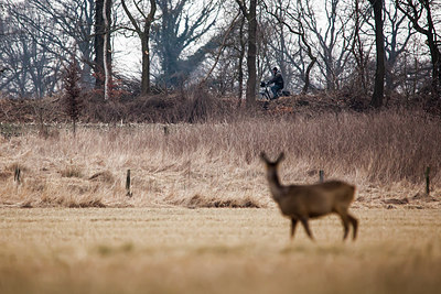 BUITEN BEELD Foto: 228456