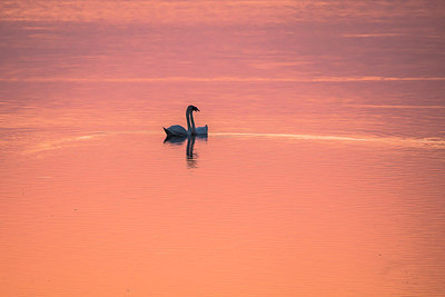 BUITEN BEELD Foto: 228470