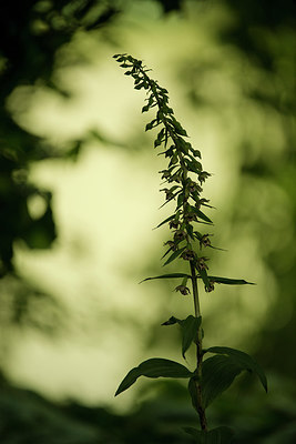 BUITEN BEELD Foto: 228523