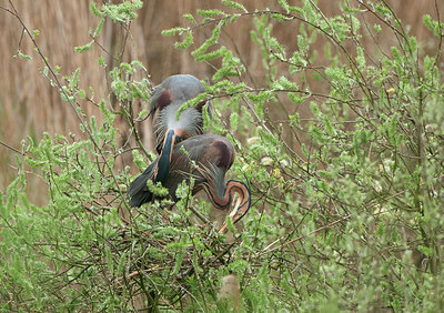 BUITEN BEELD Foto: 228543
