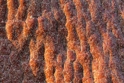 BUITEN BEELD Foto: 228582