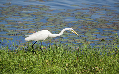 BUITEN BEELD Foto: 228588