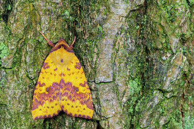 BUITEN BEELD Foto: 228765