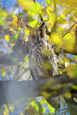 BUITEN BEELD Foto: 228773