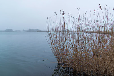 BUITEN BEELD Foto: 228787