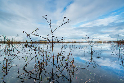 BUITEN BEELD Foto: 228824