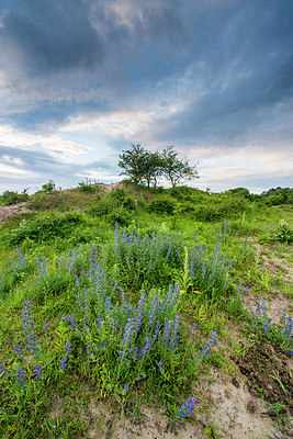 BUITEN BEELD Foto: 228827