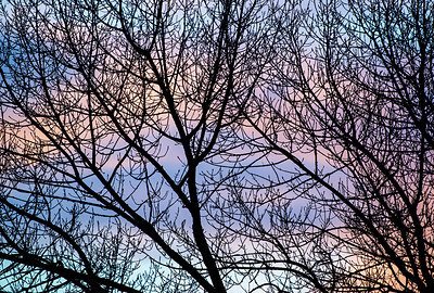 BUITEN BEELD Foto: 228831