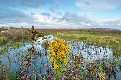 BUITEN BEELD Foto: 228844