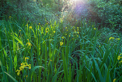 BUITEN BEELD Foto: 228871