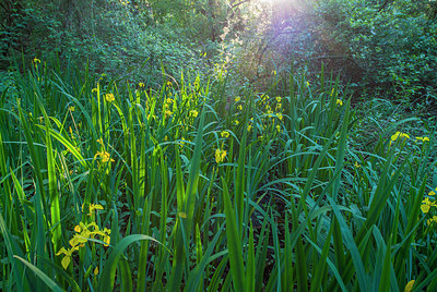 BUITEN BEELD Foto: 228871