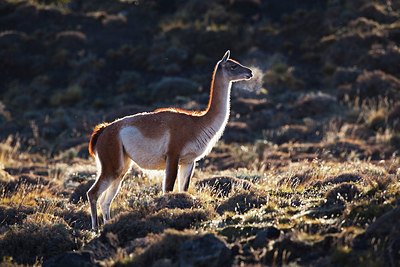 BUITEN BEELD Foto: 228877