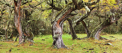 BUITEN BEELD Foto: 228883