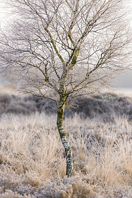 BUITEN BEELD Foto: 228919