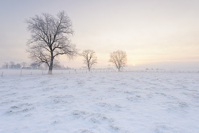 BUITEN BEELD Foto: 228937