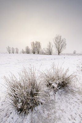 BUITEN BEELD Foto: 228966