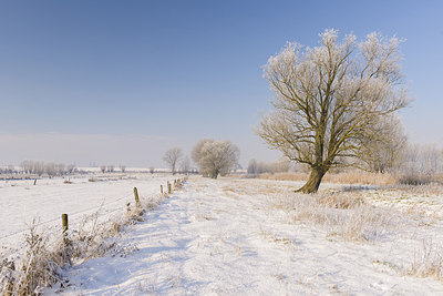 BUITEN BEELD Foto: 228975