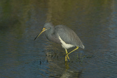 BUITEN BEELD Foto: 22046