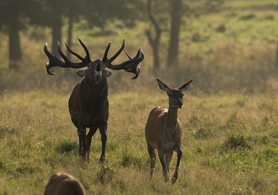 BUITEN BEELD Foto: 22083