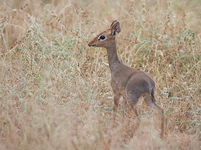 BUITEN BEELD Foto: 22170