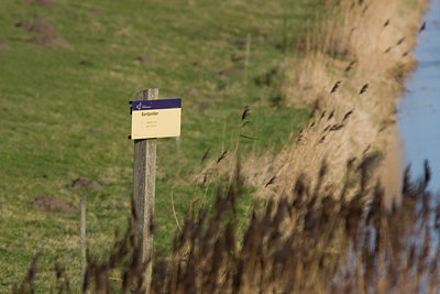 BUITEN BEELD Foto: 22281