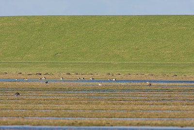 BUITEN BEELD Foto: 22284