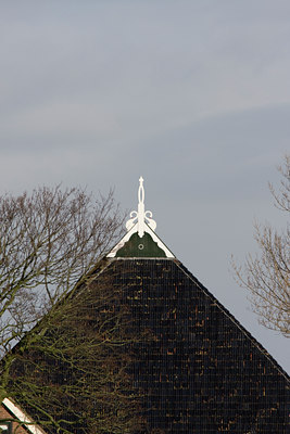 BUITEN BEELD Foto: 22287