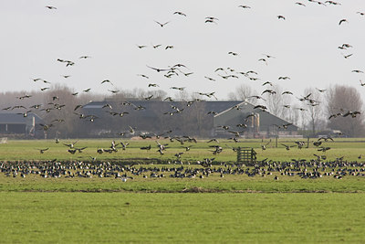 BUITEN BEELD Foto: 22297