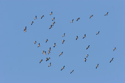 BUITEN BEELD Foto: 22315
