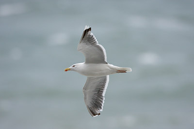 BUITEN BEELD Foto: 22328