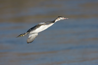 BUITEN BEELD Foto: 22334
