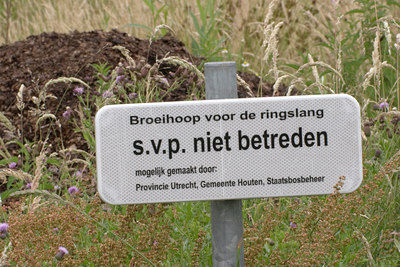 BUITEN BEELD Foto: 22358