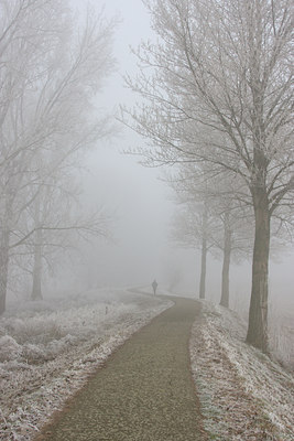 BUITEN BEELD Foto: 22381