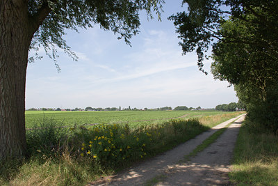 BUITEN BEELD Foto: 22398