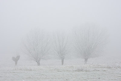 BUITEN BEELD Foto: 22399